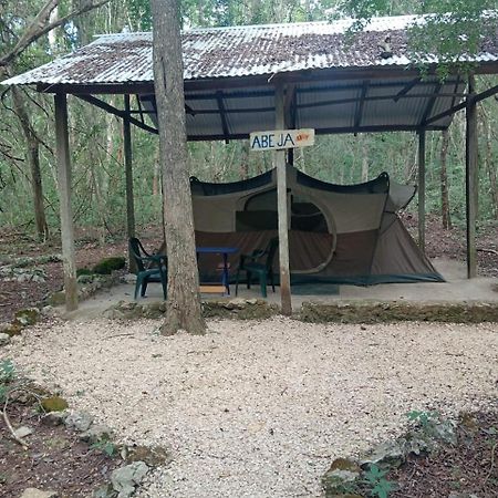 Campamento Yaax Che En Calakmul Конуас Экстерьер фото