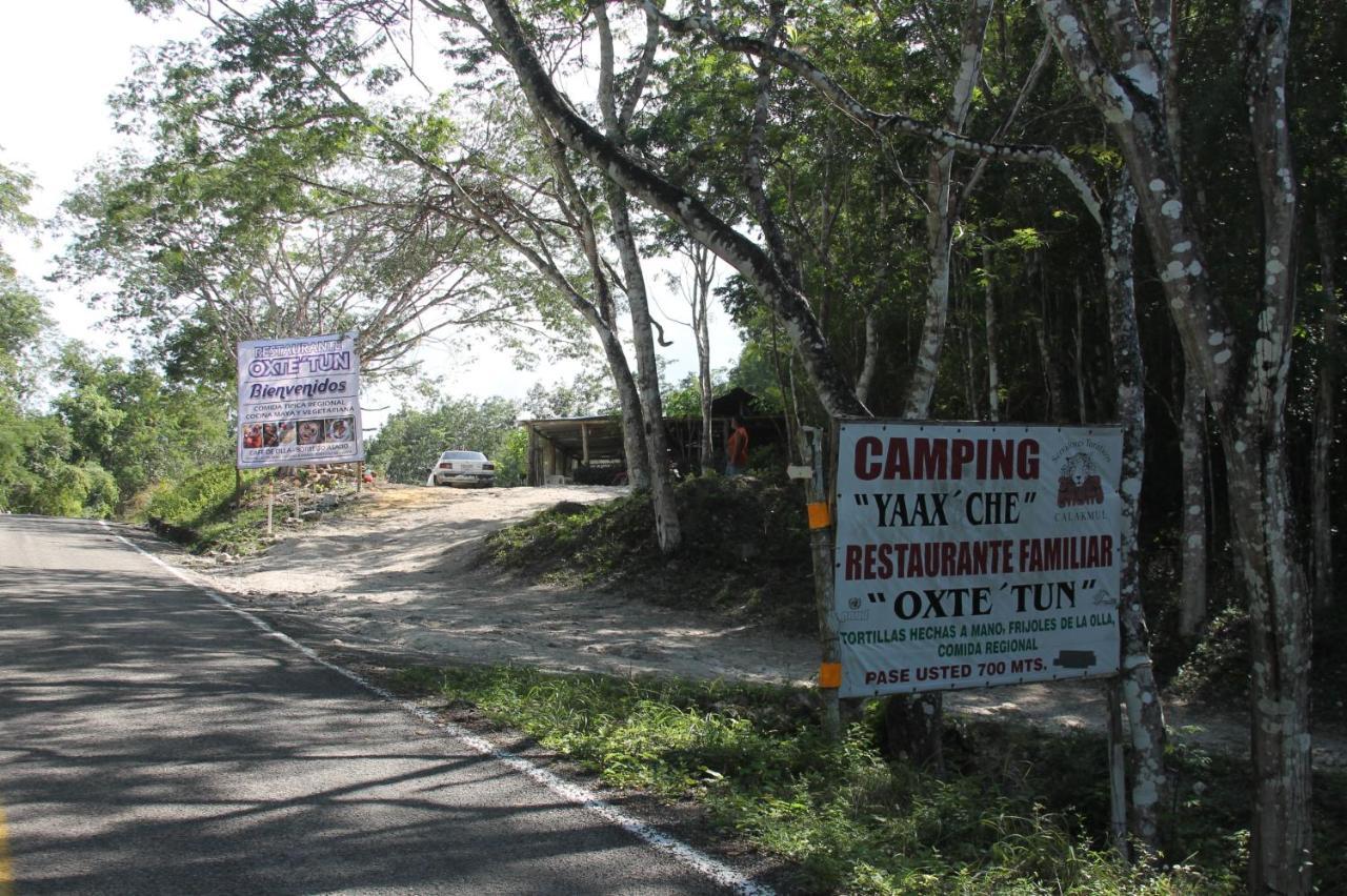Campamento Yaax Che En Calakmul Конуас Экстерьер фото