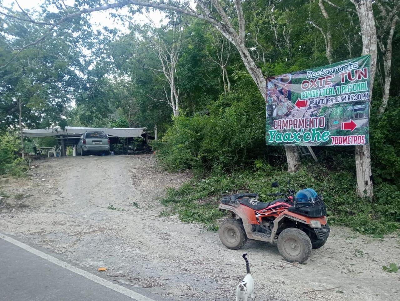 Campamento Yaax Che En Calakmul Конуас Экстерьер фото