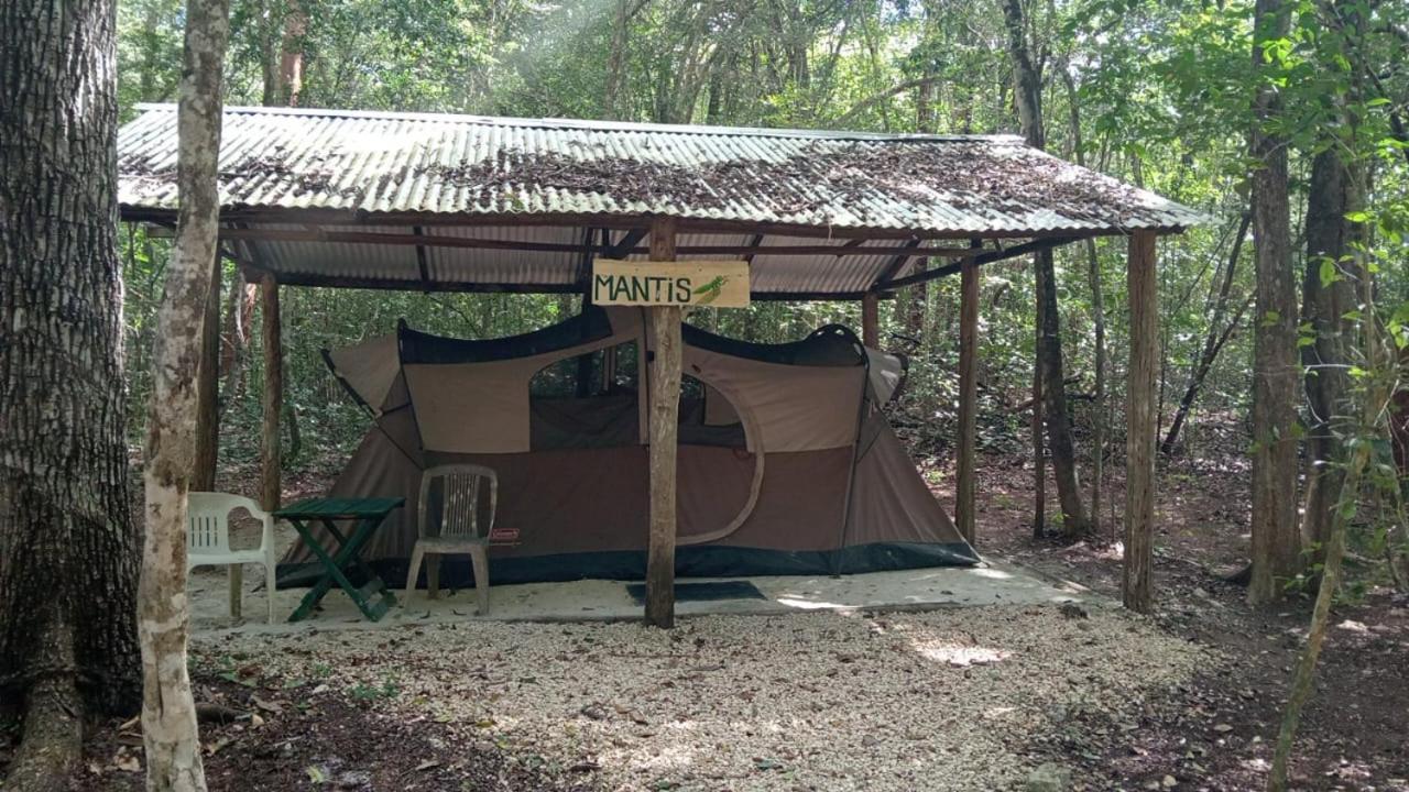 Campamento Yaax Che En Calakmul Конуас Номер фото