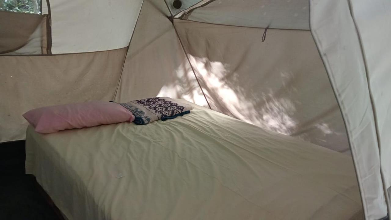 Campamento Yaax Che En Calakmul Конуас Номер фото