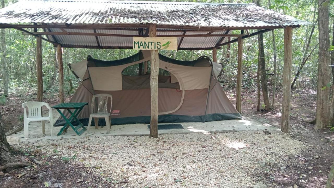 Campamento Yaax Che En Calakmul Конуас Номер фото