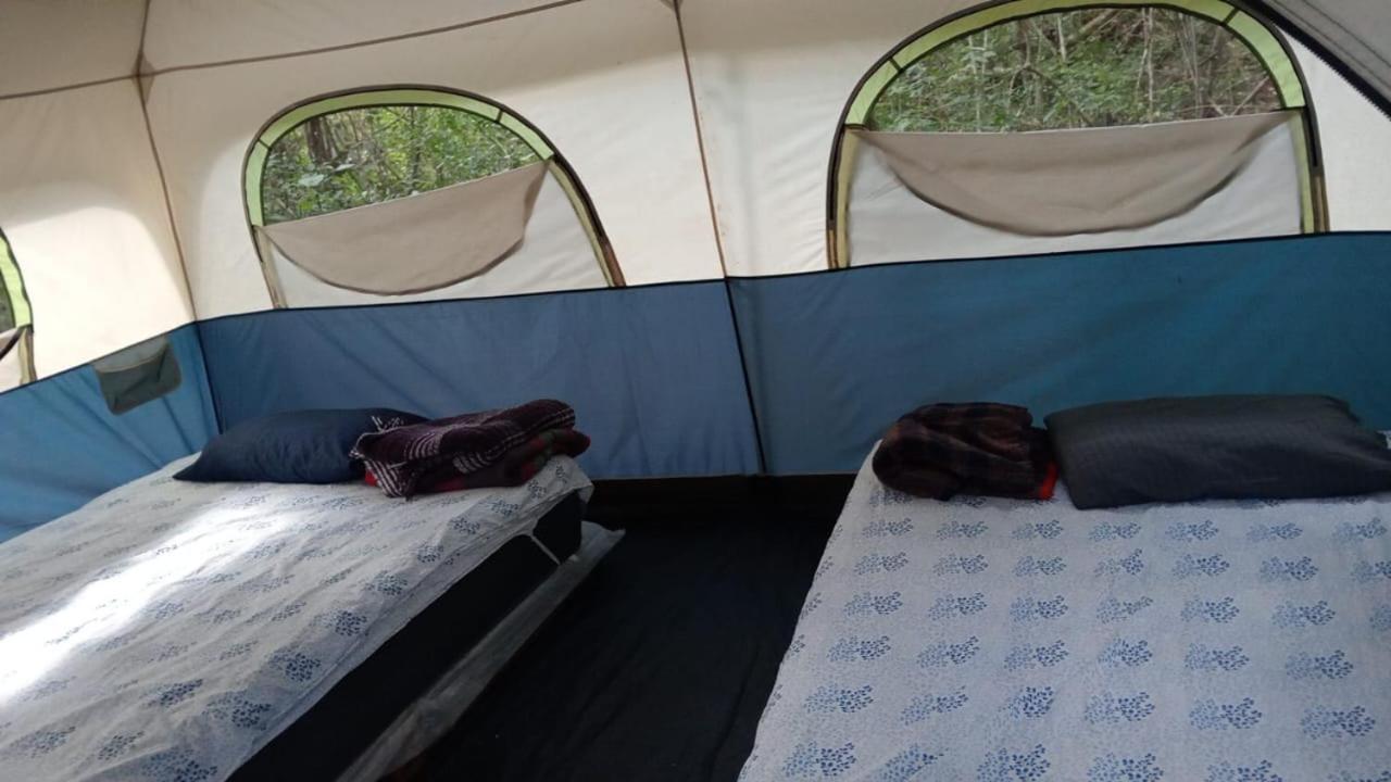 Campamento Yaax Che En Calakmul Конуас Номер фото