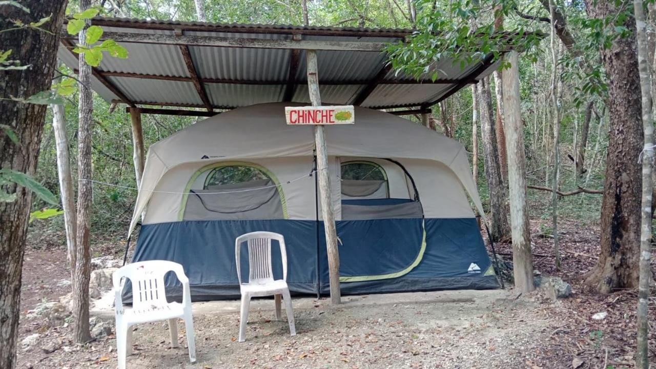 Campamento Yaax Che En Calakmul Конуас Номер фото
