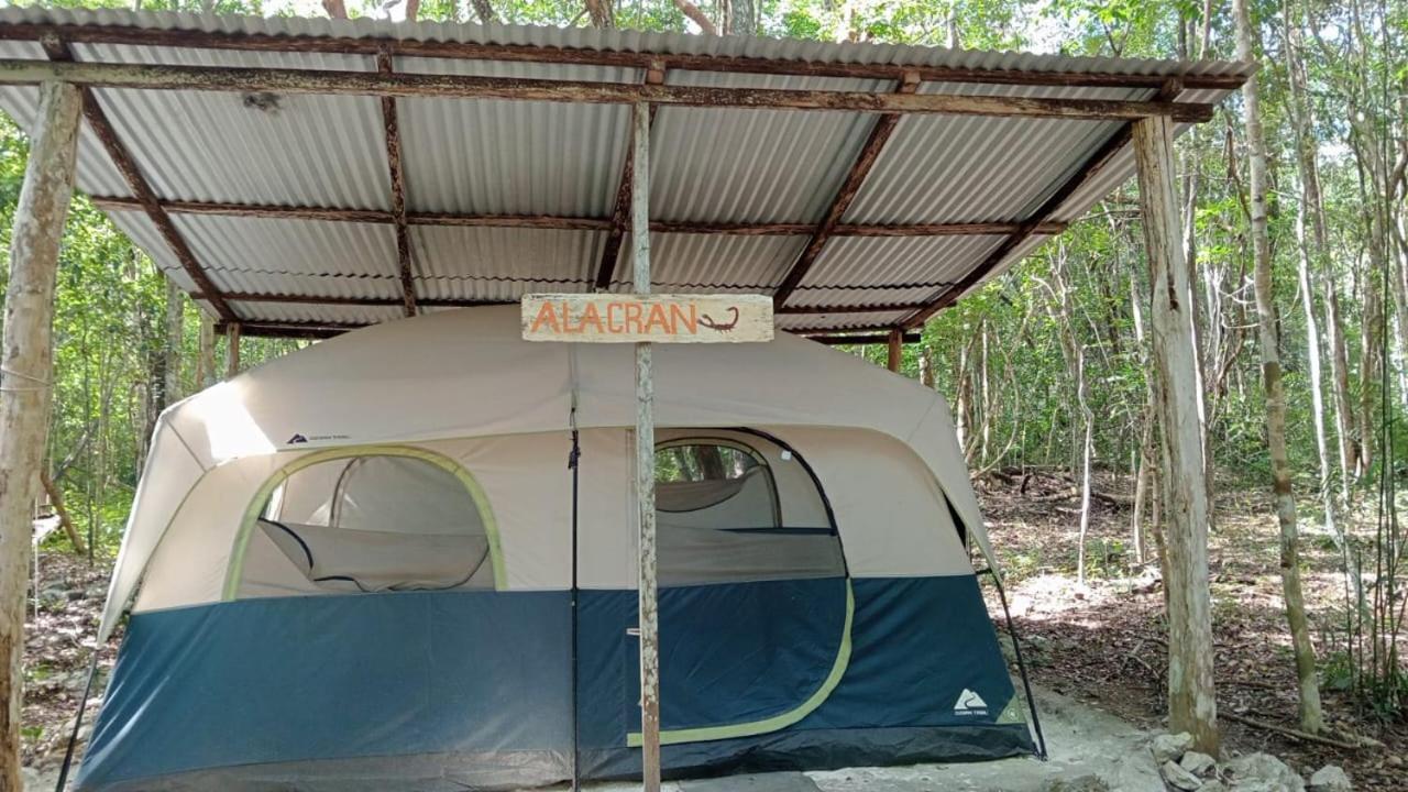 Campamento Yaax Che En Calakmul Конуас Номер фото