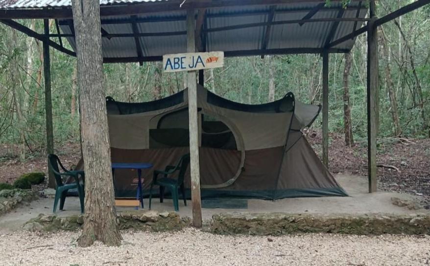 Campamento Yaax Che En Calakmul Конуас Экстерьер фото
