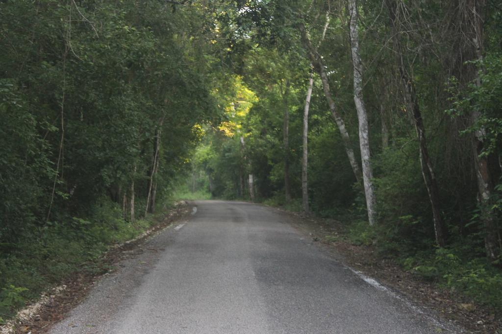 Campamento Yaax Che En Calakmul Конуас Экстерьер фото