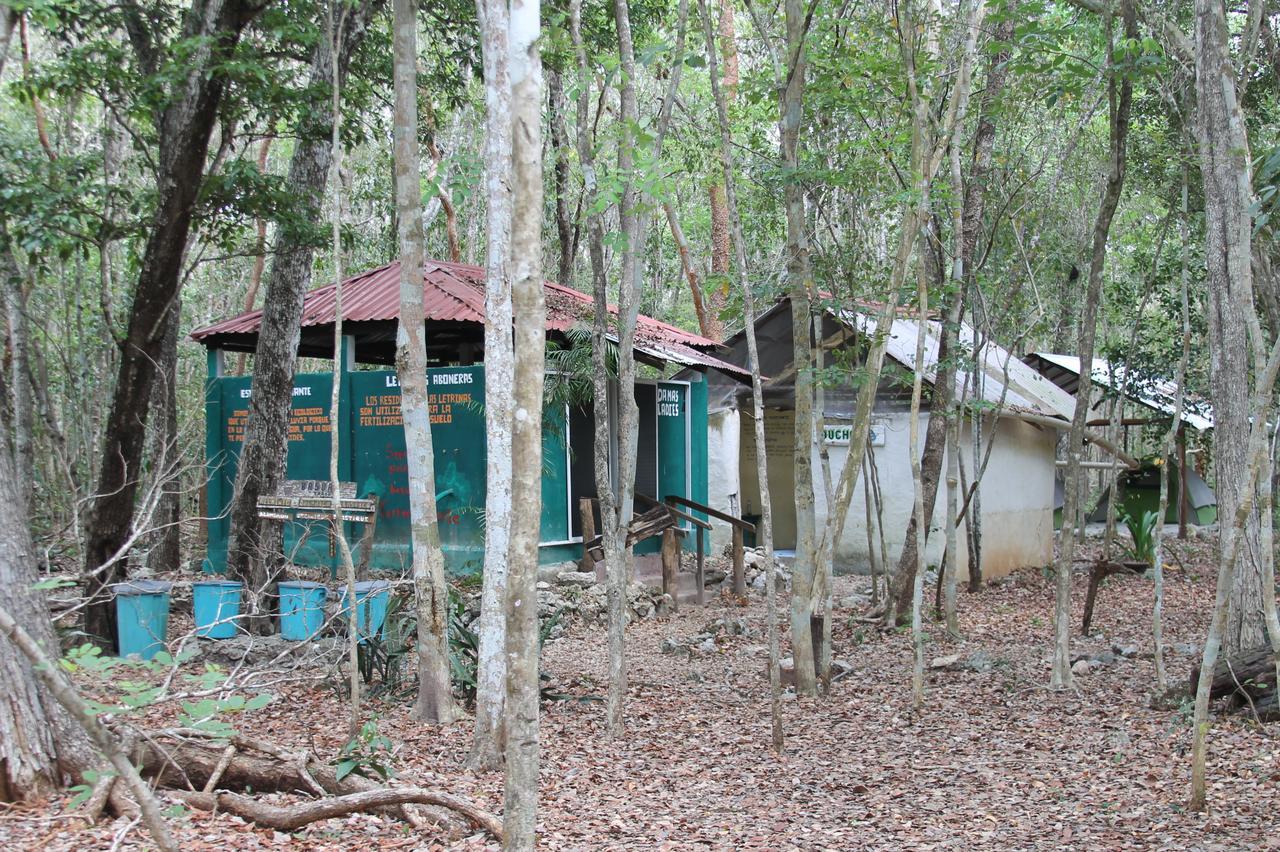 Campamento Yaax Che En Calakmul Конуас Экстерьер фото